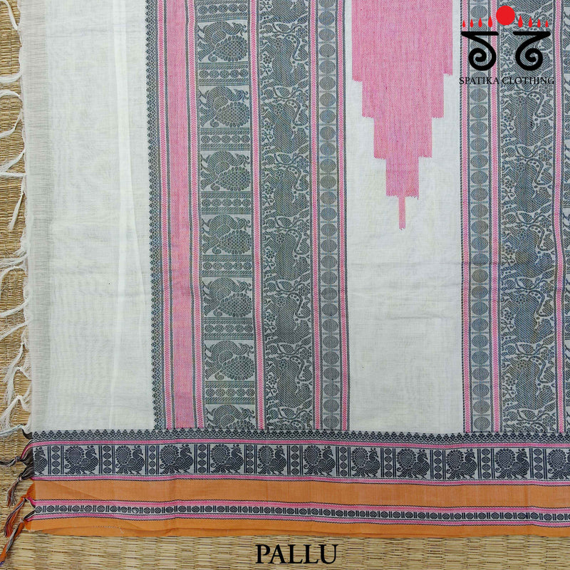 Korvai Kanchi Handwoven Cotton Saree