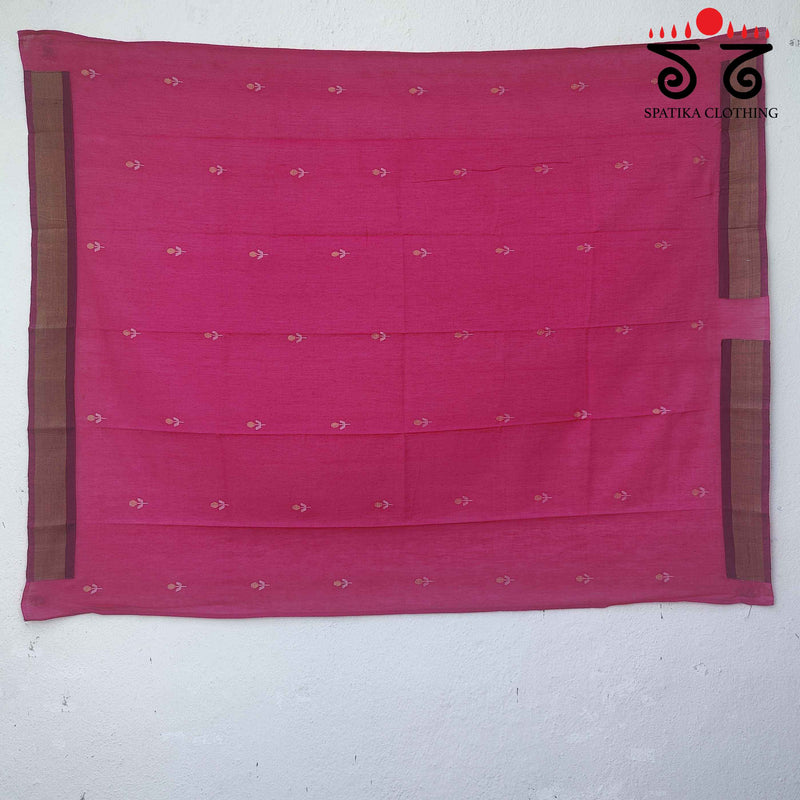 Andhra Handwoven Cotton Saree with Special Blouse