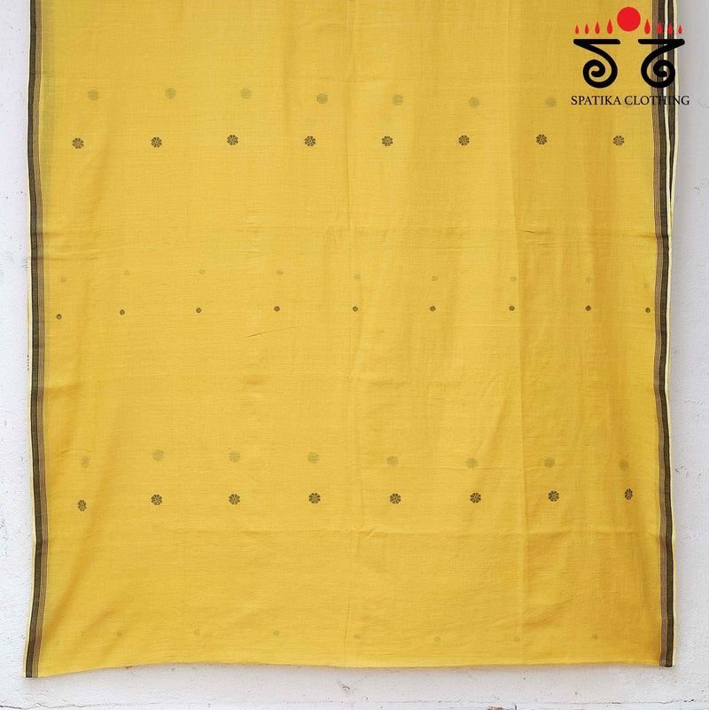 Jamdhani on Bengal Cotton Saree