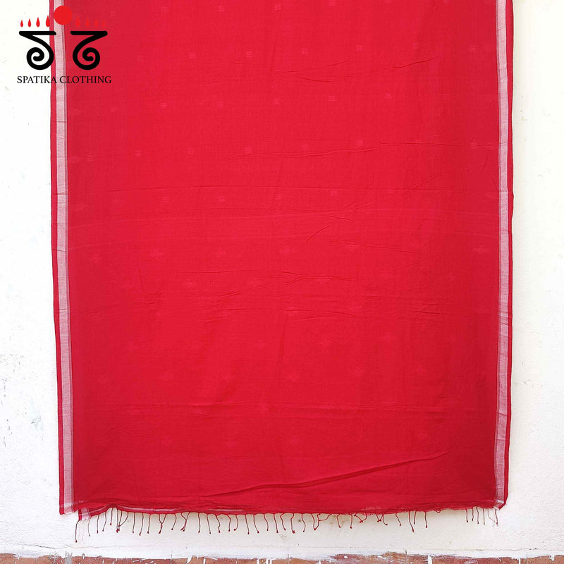 Jamdhani - Handwoven Cotton Saree - New!