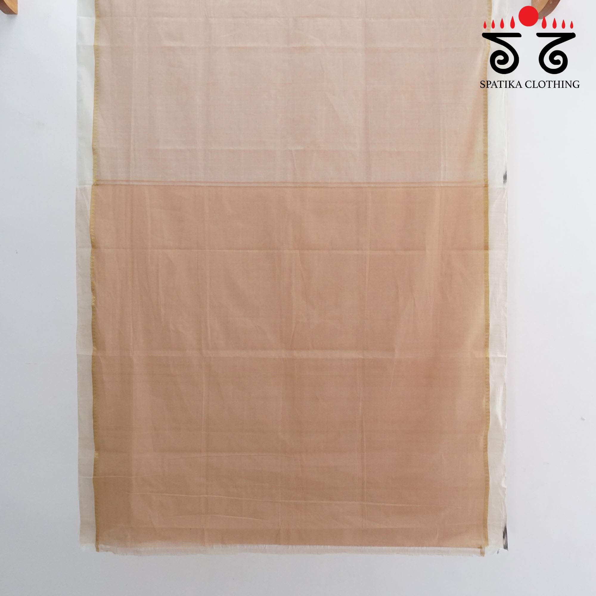 Light Beige Andhra Handwoven Cotton Saree